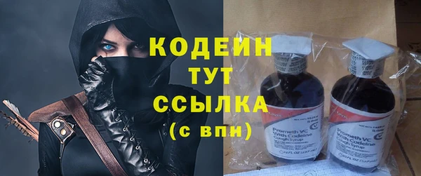 СК Инта