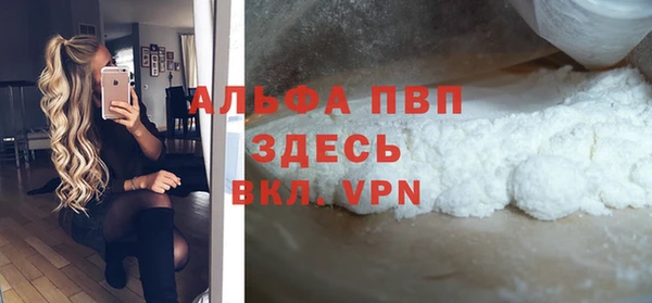 СК Инта