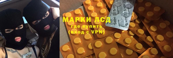 СК Инта