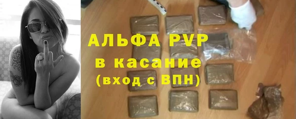 СК Инта