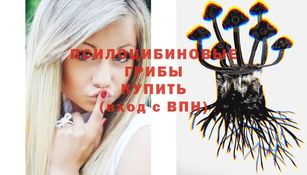 СК Инта