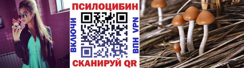Галлюциногенные грибы Psilocybine cubensis  Купить закладки  Шали 